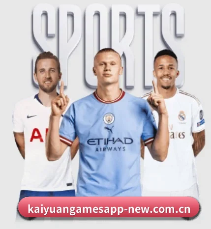 五大服务分区,信息按项目分类(Kaiyuan Games)